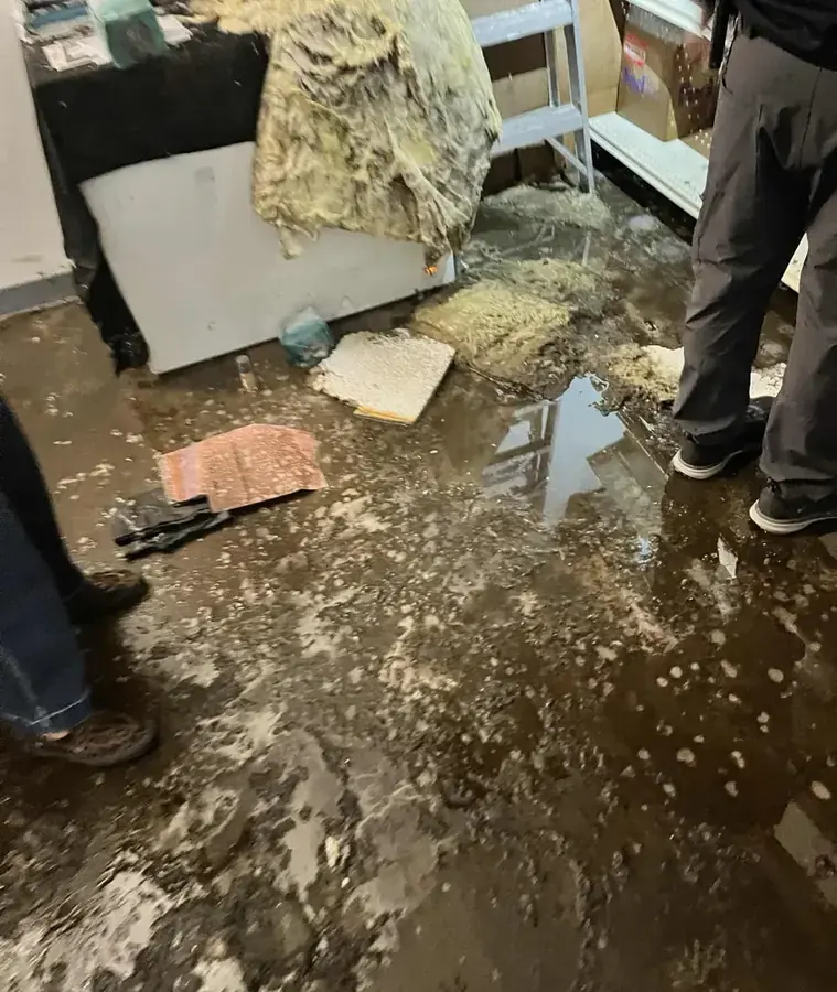 Category 3 black water backup cleanup in a Paradise Valley home